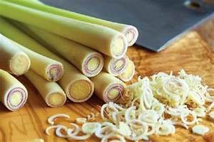 ETIQUETA LIMPIA NATURAL DE INGREDIENTES HERBALES PUROS A BASE DE PLANTAS CONGELADAS PARA APOYO INMUNE Y SABOR - Product Image 4