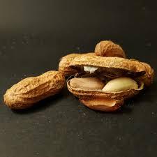 ผลไม้อบแห้งแบบกระป๋องและปอกเปลือกถั่วลิสงคั่วแบบออร์แกนิคสำหรับใส่ขนมเกรดอาหารและทำอาหาร - Product Image 4