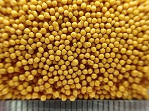 B Complex Pellets nutricionales de liberación sostenida Mezcla de multivitaminas para adultos y adolescentes Suplemento de bienestar mejorado - Product Image 3