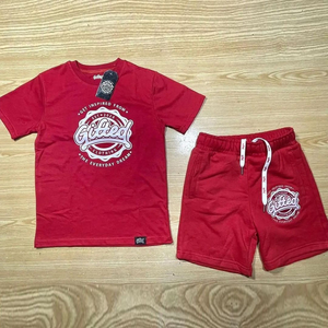 Conjunto Deportivo Azul para Niños, Camiseta Estampada y Pantalones Cortos, Ropa Deportiva Informal de Verano, Conjunto de Dos Piezas de Algodón - Product Image 2