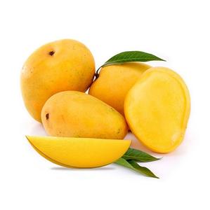 Mangue jaune fraîche et savoureuse de qualité supérieure, qualité de gros, taille 12-16 cm, origine Portugal - Product Image 2