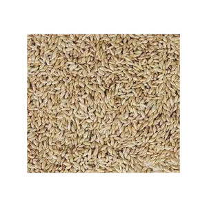 Graines à canaris en gros stock sous emballage en vrac prêt à l'exportation - Product Image 5