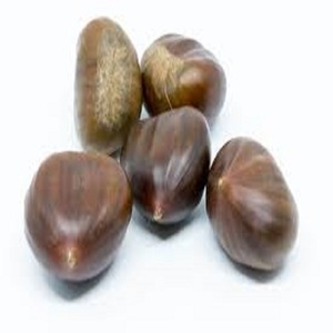 Châtaignes Biologiques de Haute Qualité, Fraîches, Brutes, Qualité A, Sans Additifs, Emballage de 5kg à 80kg, Idéales pour la Cuisson et les Snacks, Prix Abordable, En Vente - Product Image 4