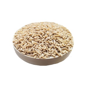Top Quality Hulled <b>Oats</b>/ <b>Oats</b> Grains For Sale - Product Image 4