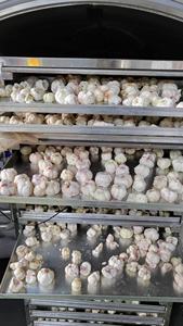 Mangoustan lyophilisé en gros, collation de fruits croustillants et sucrés pour la vente au détail, sacs de marque privée 50g 100g, mangoustan sec du Vietnam - Product Image 6