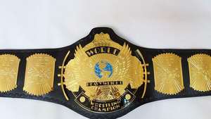 Cinturones de campeonato de lucha libre Trofeos Medallas y premios el símbolo definitivo de Victoria y excelencia Cinturones de Campeonato - Product Image 6