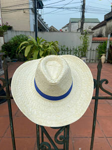 Nouveau design 2025 Chapeau de paille mexicain léger pour les festivals, le camping, les journées à la plage ou les activités de plein air Lotus bleu - Product Image 5