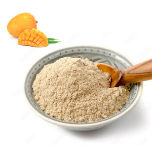 Poudre d'extrait de fruit de mangue de fabricant supérieur poudre de prix le plus bas de mangues fabriquée au Vietnam - Product Image 1