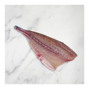 Filet de hamachi de qualité supérieure SP, préparé pour les acheteurs en gros avec livraison rapide - Product Image 2