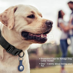 Collier confortable pour animaux de compagnie, doublure douce, coutures durables, taille réglable, pour la promenade, l'entraînement, les voyages, les activités de plein air - Product Image 2