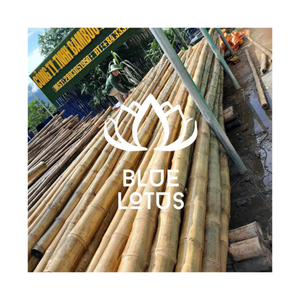 MEILLEURE VENTE Poteaux En Bambou Jaune Naturel Piquets En Bambou Forts Écologiques pour Le Jardinage Support De Plantes Disponible Exportation - Product Image 1