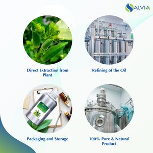 Aceite de okra 100% puro y natural al por mayor a granel precio más bajo embalaje personalizado - Product Image 4