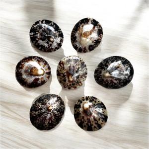 Proveedor de conchas marinas de Lapa al por mayor de conchas decorativas de primera calidad de Vietnam para manualidades, fabricación de joyas y decoración del hogar - Product Image 4