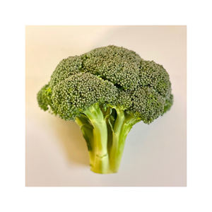 Nueva temporada, verduras frescas, Exportación de brócoli fresco - Product Image 6