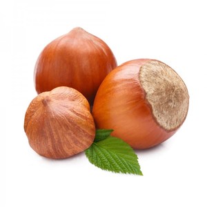 Nueces de Macadamia de alta calidad secas a granel crudas con cáscara directa del proveedor al por mayor - Product Image 1