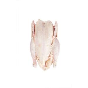 Pollo Entero Congelado Halal de Primera Calidad, Pollo Entero y en Piezas Congelado Halal de Calidad - Product Image 1