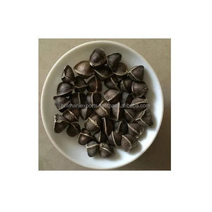 Exportation indienne de meilleure qualité, vente en gros, 10:1, extrait de graine d'oleifera, riche en protéines - Product Image 3