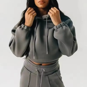 Vente en gros OEM top court unisexe à capuche costume de jogging manches longues mode de rue imprimé technique grande taille saison d'hiver bas quantité minimale de commande - Product Image 2