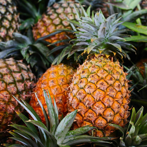 Ananas frais entiers en boîte, lot de fruits tropicaux riches en antioxydants - Product Image 1