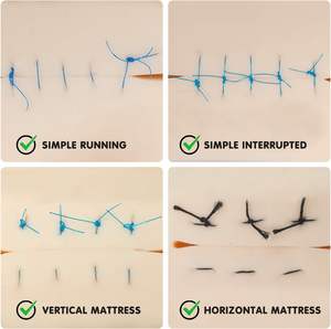 Kit completo de práctica de sutura a precio mayorista de fabricación con almohadilla de silicona 19 piezas para estudiantes de medicina veterinaria personalizado - Product Image 6