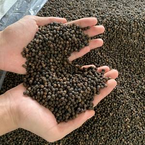 600GL พริกไทยดำแบบอบแห้งของโทมัสเหงียนจากเวียดนามรสเผ็ดประเภทการแปรรูป84789896886โทรศัพท์ - Product Image 6