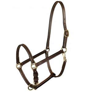 Halter en cuir anglais léger marron cuir souple rembourré avec raccords de quincaillerie en laiton - Product Image 6