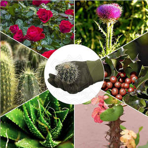 Guantes de Jardinería de Tamaño Personalizado, Guantes de Jardinería Transpirables Más Vendidos, Personalizados, de Alta Calidad - Product Image 3