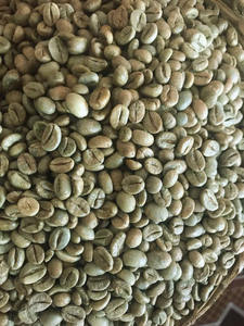 เมล็ดกาแฟอาราบิก้าออร์แกนิคเกรด A+ ยี่ห้อ TNFOOD ธรรมชาติ 100% ได้รับการรับรองมาตรฐาน ISO 22000 ส่งออกจำนวนมากจากโรงงานเวียดนาม - Product Image 4