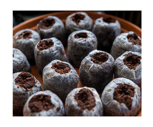 Coir Jiffy pellets de turba para invernadero y proveedor de pellets de fibra de coco Coir Jiffy pellets - Product Image 1