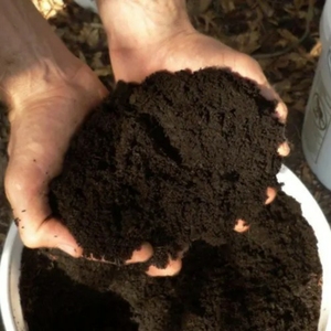 Fertilizante Orgánico de Compost Verm de la India, 1 kg - Alta Calidad, Calidad de Exportación, Excelente Precio - Product Image 3