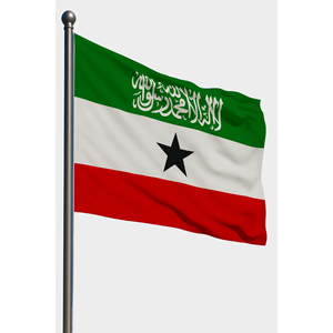 Drapeau de voiture extérieur Somaliland avec logo personnalisé, impression numérique, satin, plastique, polyester et soie, drapeau mondial, mât de drapeau en aluminium - Product Image 1