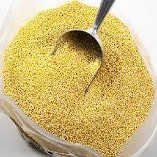 Millet jaune français non glutineux séché de nouvelle récolte, haute qualité, faible humidité (14%), durée de conservation de 24 mois, alimentation animale - Product Image 5