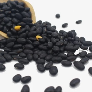 Frijoles de riñón negros orgánicos de Grado Superior 100% listos para exportar en bolsas a granel Frijoles secos oscuros para uso alimentario - Product Image 6