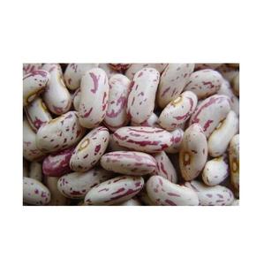 Highest Quality Best Price Direct Supply Light & Dark Speckled Pinto Beans Bulk Fresh Stock Available for Exports - Product Image 4
