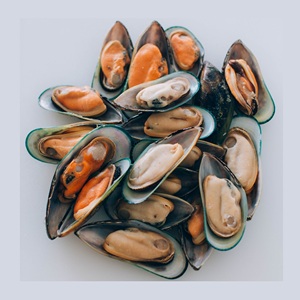 Proveedor Mayorista de Mariscos Congelados: Mejillones Congelados / Carne de Mejillón Congelada, Cantidad a Granel Lista para Exportación, Proceso de Congelación BQF - Product Image 4