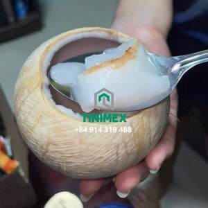 มะพร้าวขัดเงาเวียดนามผู้จัดจำหน่ายในราคาไม่แพง - Product Image 2