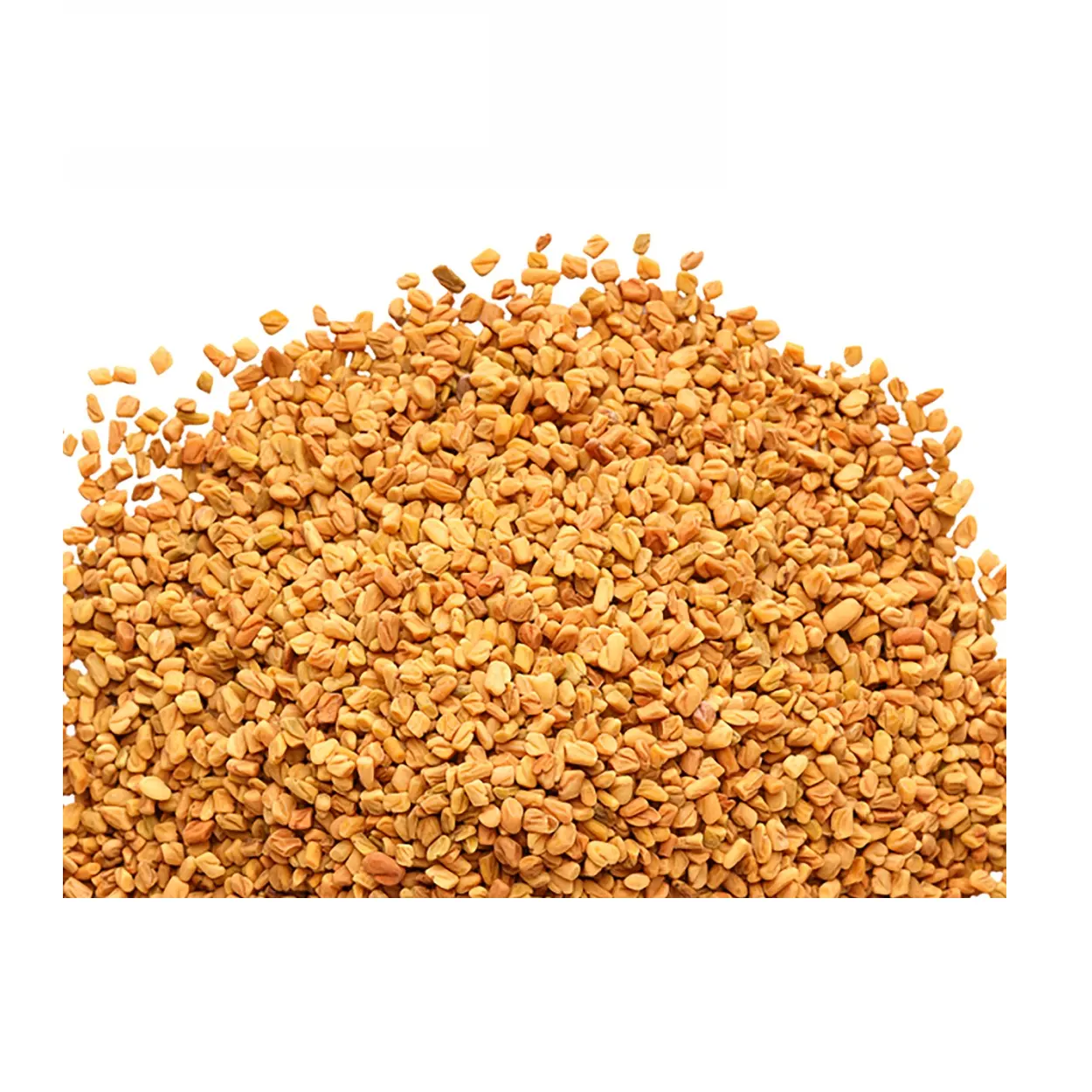 Hot Deal 2023 Organically Made Fresh Fenugreek Seeds with Food Grade Seeds By Indian Manufacturer Low Prices