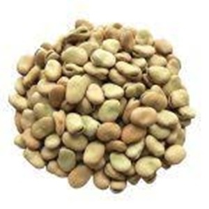 Lentejas Verdes Canadienses Secas de Grado Agrícola a Precio Moderado - Product Image 1