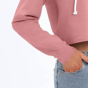 OEM Automne et hiver, sweat-shirt à capuche pour femme, manches longues, avec doublure à carreaux, style décontracté brodé, nouveau crop top - Product Image 6