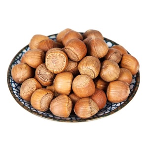 Avellanas naturales al por mayor disponibles para procesadores de alimentos y proveedores que buscan fuentes de grado orgánico confiables - Product Image 6