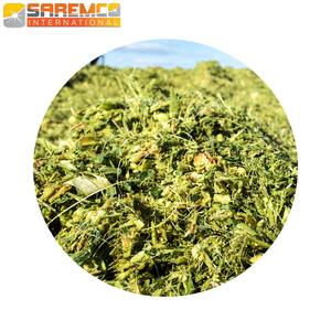 بالة سيلاج الذرة العلف الحيواني للخنازير والأبقار والماشية والماعز والبالات المدمجة بالجملة باكستان ألياف عالية البروتين - Product Image 2