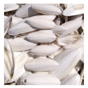 บล็อกแคลเซียมสำหรับนกและสัตว์เลื้อยคลาน - Product Image 1