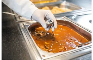 Mini Probe <b>Thermometer</b> Customizable OEM Support Waterproof Design - Product Image 3