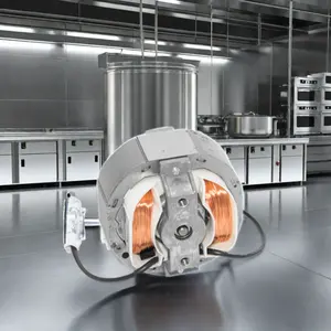 Kit de reemplazo de Motor de ventilador de escape de campana de cocina comercial de 220V/240V, motores eléctricos de ventilación de cocina de frecuencia monofásica de 60Hz