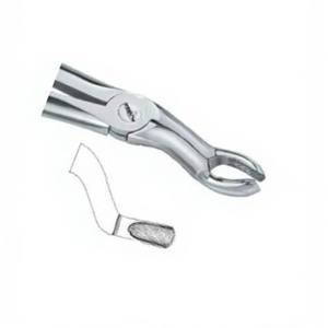 Pinzas para Extracción de Dientes Fig.67 Diam Top, Acero Inoxidable de Alta Calidad, Manuales, Certificación CE, Logotipo Personalizado, Instrumentos Dentales - Product Image 4
