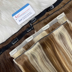 Clip de pelo vietnamita auténtico en extensiones de cabello Clip de color ruso en extensiones Belleza natural de lujo puro - Product Image 1