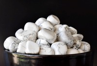 Vente en gros d'agate howlite polie naturelle de haute qualité, 15-30 mm, pour la décoration de la maison, le feng shui, Inde, personnalisable