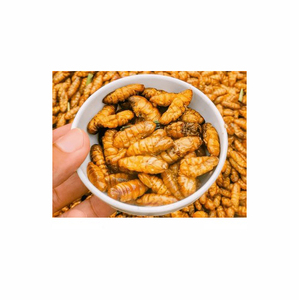 Suministro a granel de harina de pupa de gusano de seda a la venta, asegurando una nutrición óptima para la alimentación del ganado - Product Image 1