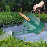 Pot d'eau en métal pour arrosoir de produit de jardin de couleur verte