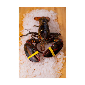 Homard entier cru congelé de qualité supérieure avec procédé BQF pour l'achat en gros – Fiabilité garantie - Product Image 5